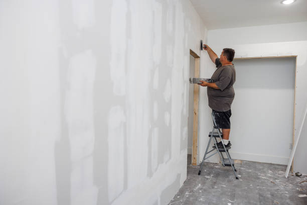 Best Post-Construction Mold Inspection  in Baudette, MN