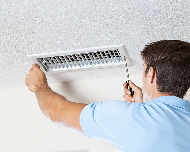 Baudette, MN Mold Removal Company