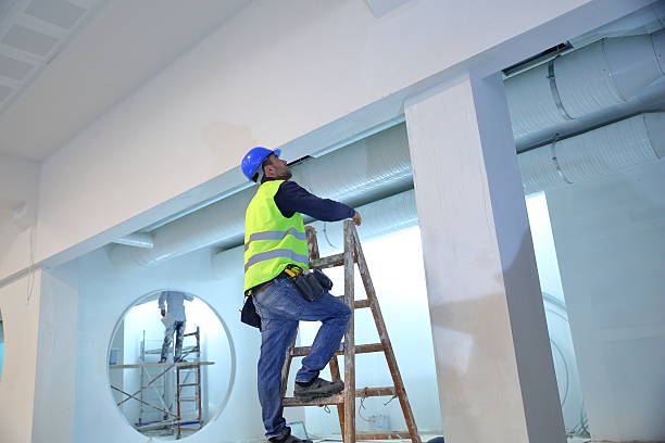Best Mold Odor Removal Services  in Baudette, MN